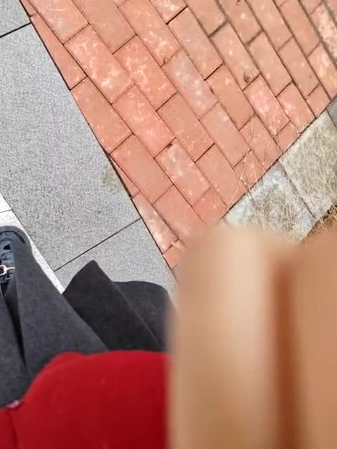 shaoshao-7758 cam recording